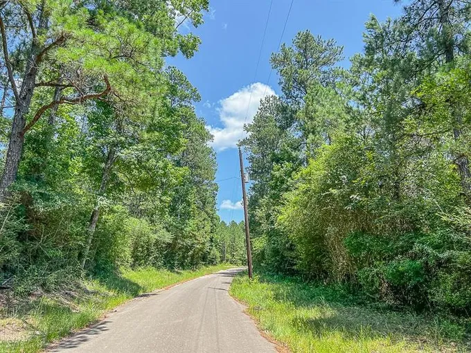 03 CR 364e, Zavalla, TX 75980 for Sale