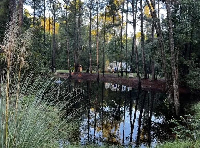 7810 Turtle Hl Ln, Edisto Island, SC 29438 - MLS 209271 for Sale