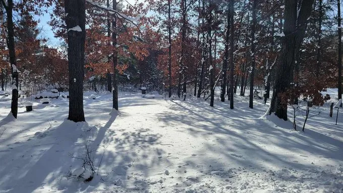 805 Richmond, Nekoosa, WI 54457  619895592 for Sale