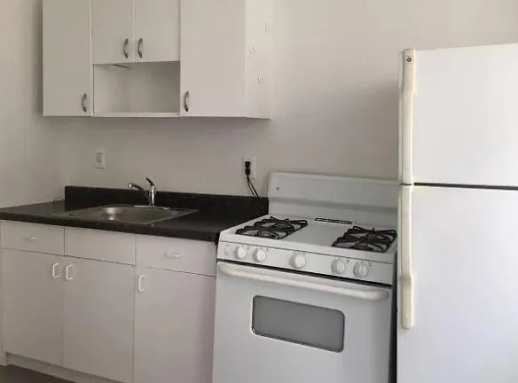 918 E Hyde Park Blvd - Chicago, IL 60615 - Home For Rent