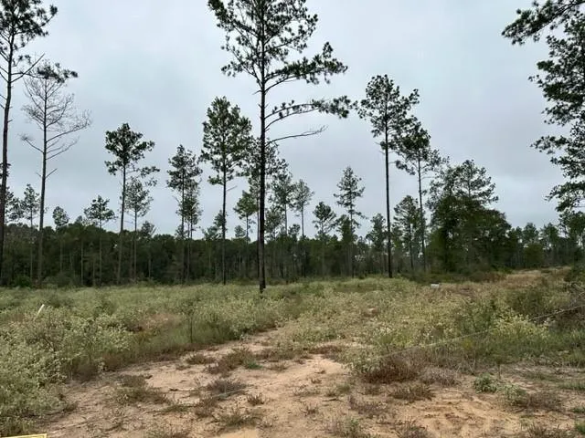 873 Red Lowe Rd, Livingston, TX 77351 for Sale