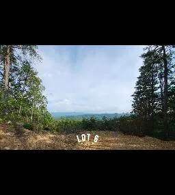 2985 Reese Mountain Road, Elliston, VA 24087 for Sale