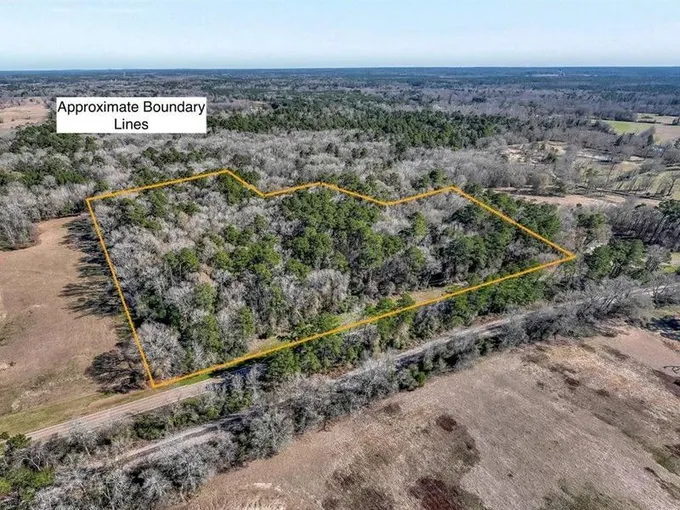Lufkin, Angelina County, TX Undeveloped Land for sale Property ID: 418799655