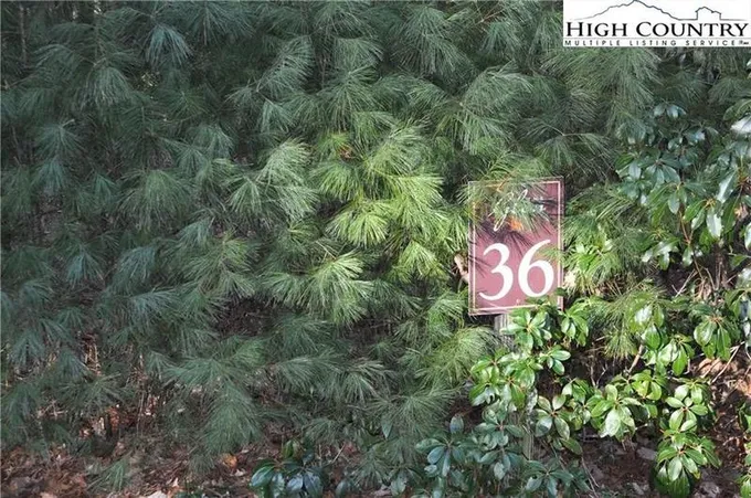 West Jefferson, Ashe County, NC Undeveloped Land, Homesites for sale Property ID: 418635482