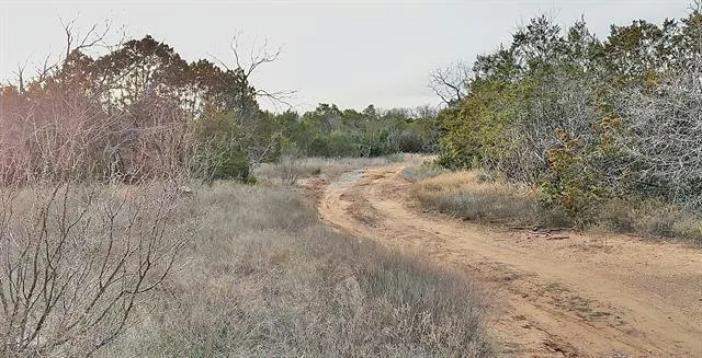 TBD COUNTY ROAD 120, Santa Anna, TX 76878 Farm For Sale  MLS# 20517831