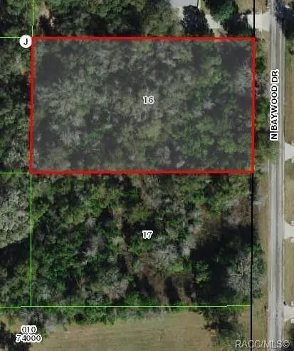 Hernando, Citrus County, FL Undeveloped Land, Homesites for sale Property ID: 418489573