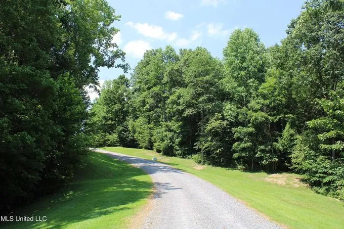 10164 Green River Road, Lake Cormorant, MS 38641  620908416 for Sale