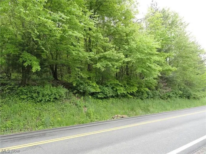 HARDINS RUN ROAD, New Cumberland, WV 26047 Land For Sale  MLS# 4470855
