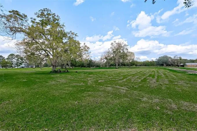 2342 Mamie Ford Rd, Alvin, TX 77511 for Sale