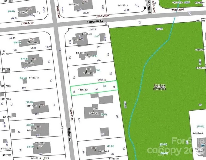 Charlotte, Mecklenburg County, NC Undeveloped Land, Homesites for sale Property ID: 418805998