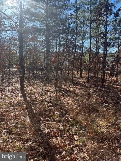 Lakehurst, Ocean County, NJ Undeveloped Land, Homesites for sale Property ID: 418555730