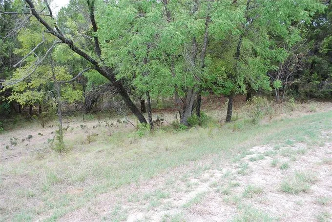 21031 Trailwood Dr, Whitney, TX 76692 for Sale