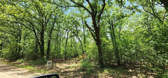 Como, Hopkins County, TX Undeveloped Land for sale Property ID: 418767937