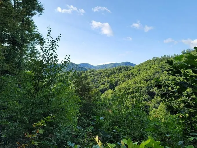 Franklin, Macon County, NC Undeveloped Land for sale Property ID: 418791728