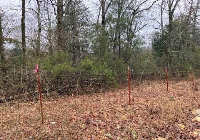 Williford, Sharp County, AR Undeveloped Land, Homesites for sale Property ID: 418903663