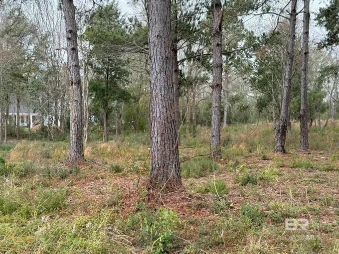 0 OLD BRADY ROAD, Loxley, AL 36551 Land For Sale  MLS# 356195