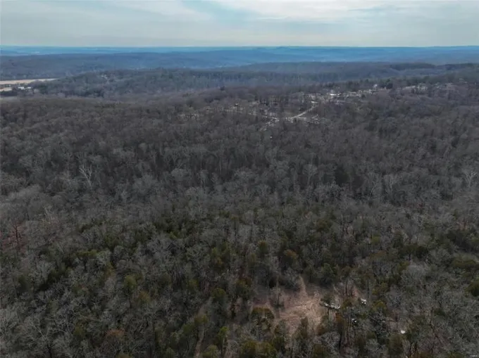 0 RIDGE ROAD, Dittmer, MO 63023 Farm For Sale  MLS# 24008891