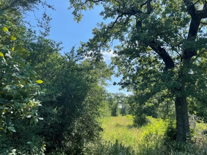 15154 County Rd 224, Oakwood, TX 75855 for Sale