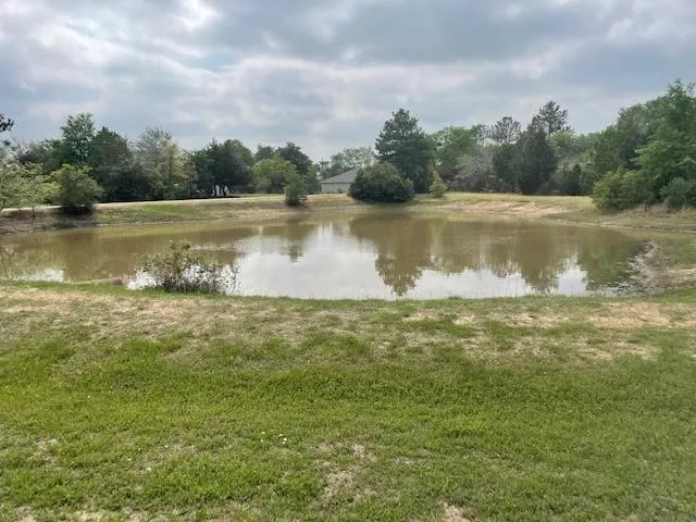 26568 Buck Ln, Hempstead, TX 77445 for Sale