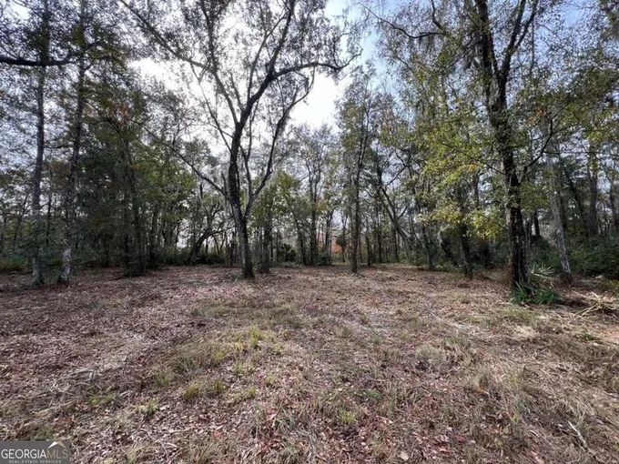 597 Salt Creek Way, Brunswick, GA 31523 for Sale