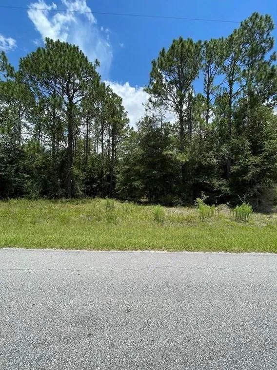 Tbd SW 197th Terrace, Dunnellon, FL 34431 - MLS OM669317 for Sale