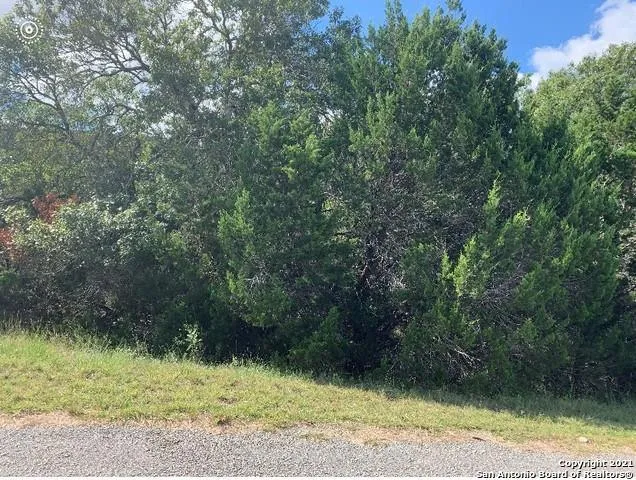 1063 Royal Eagle Dr, Fischer, TX 78623 for Sale