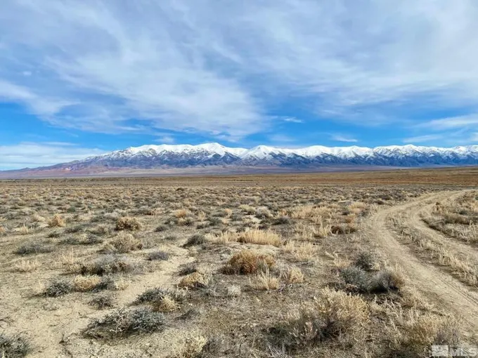 00234001 POKER BROWN GAP RD, Lovelock, NV 89419 Land For Sale  MLS# 240001283
