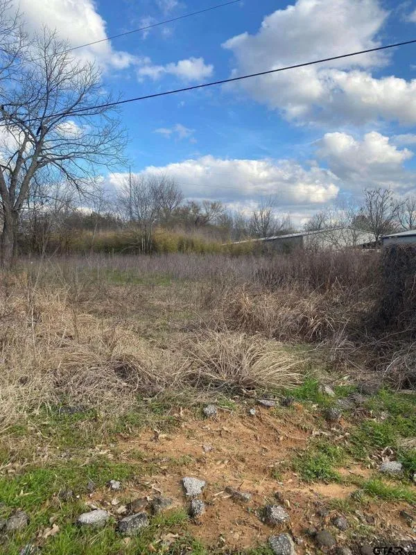 Tyler, Smith County, TX Commercial Property, Homesites for sale Property ID: 415758208