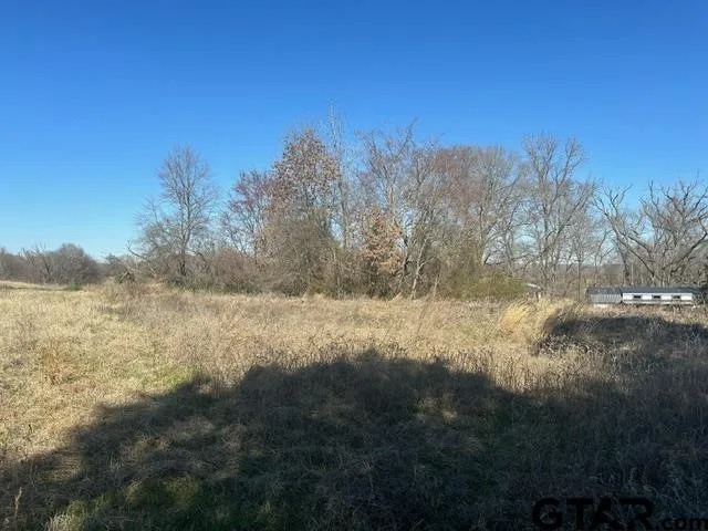 Lot 4 CR 2724, Mineola, TX 75773 for Sale