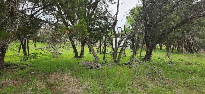 1607 Center Point Ln, Austin, TX 78734 for Sale