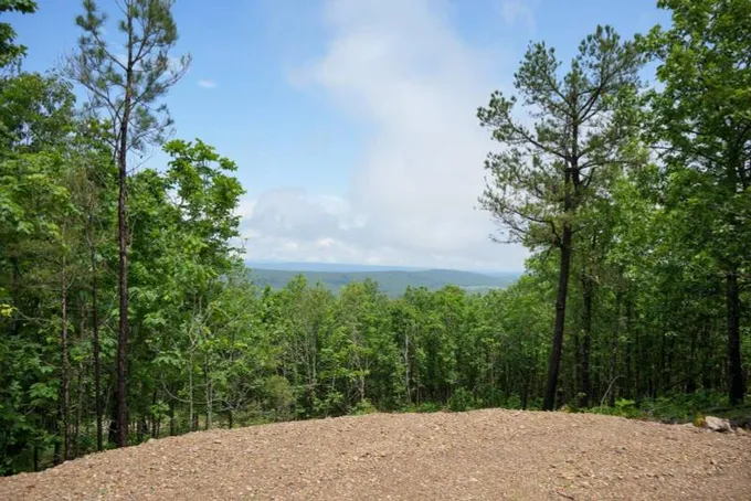 Tuskahoma, Pushmataha County, OK Undeveloped Land, Homesites for sale Property ID: 418904668