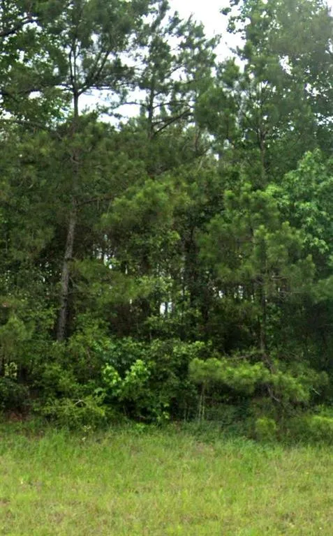 00 E Richardson Road E, Livingston, TX 77351 for Sale