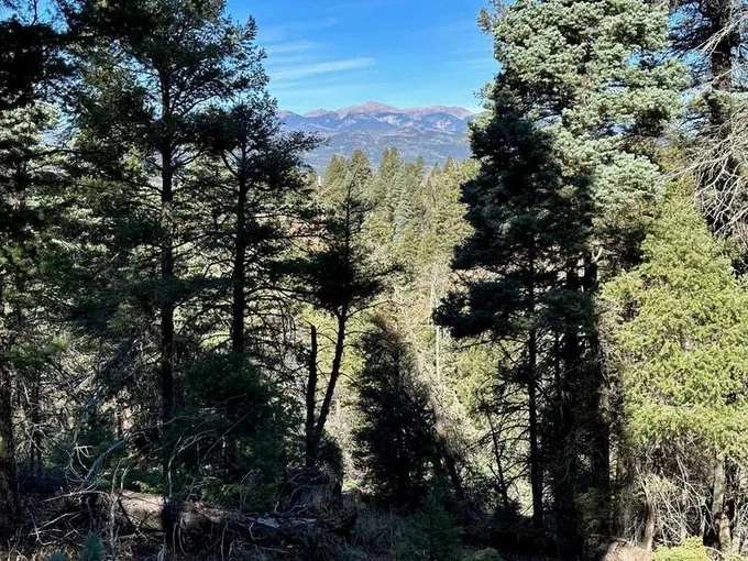 261 Vista Del Valle Overlook, Angel Fire, NM 87710  MLS# 111233 for Sale