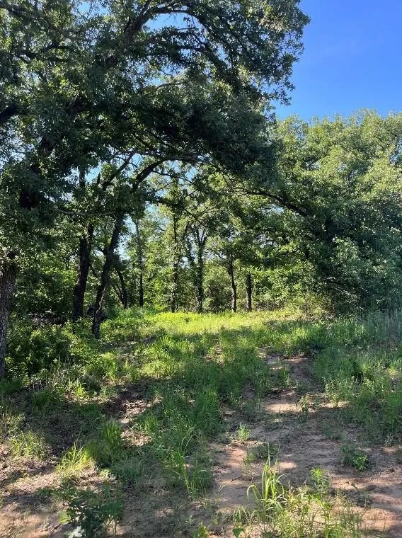 Lot 44 Antrim Ct, Poolville, TX 76487 - MLS 20514220 for Sale
