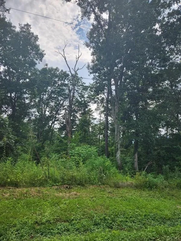 Dunlap, Sequatchie County, TN Homesites for sale Property ID: 418685060