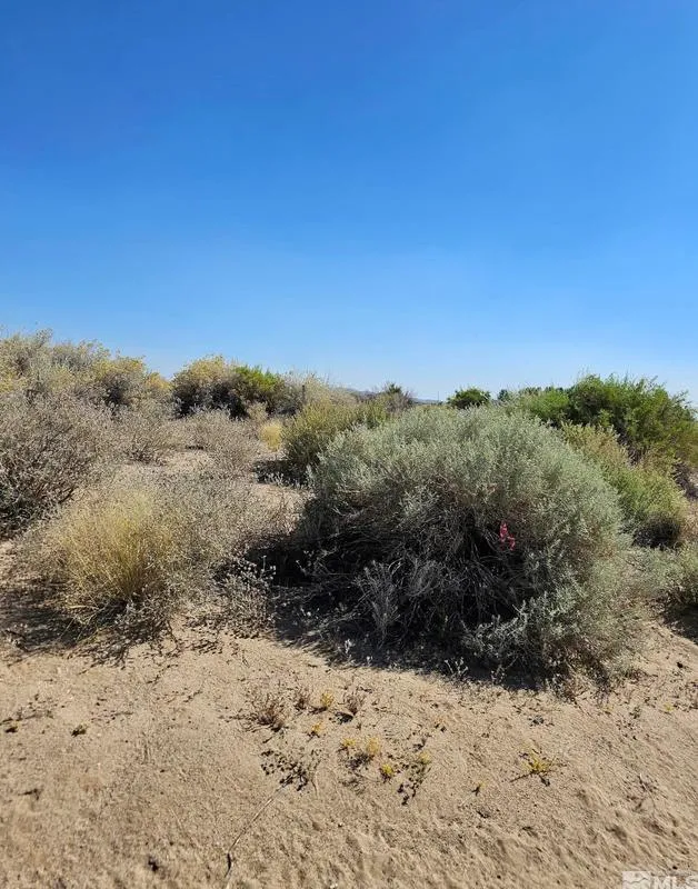 8245 Kamibo Dr, Fallon, NV 89406 - MLS 230007983 for Sale