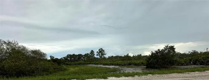 2125 SW ANDERSON RD, AVON PARK, FL 33825 Land For Sale  MLS# L4938734