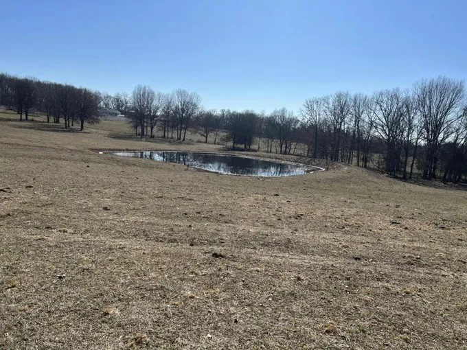 0000 2251ST ROAD, Humansville, MO 65674 Land For Sale  MLS# 60259852