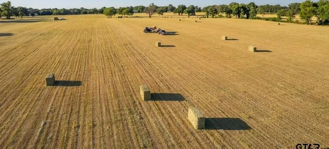 36Ac Tract 3 County Road 2301, Sulphur Springs, TX 75482 - MLS 23002418 for Sale