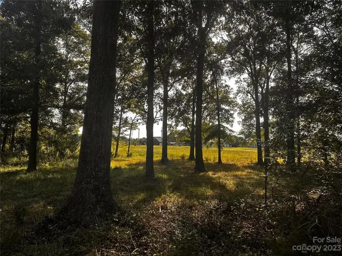 0 Mission Church Road, Locust, NC 28097 for Sale