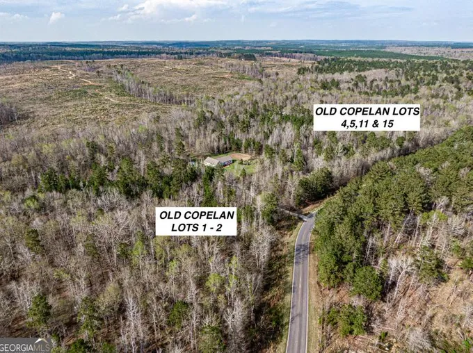 Lot 1 Old Copelan Rd #LOT 1, Eatonton, GA 31024 - MLS 10241535 for Sale