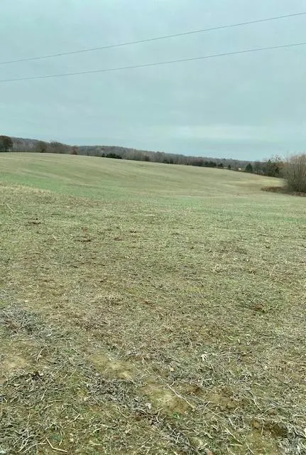 267 COUNTY RD. Puxico, MO 63960 Farm For Sale  MLS# 23054870
