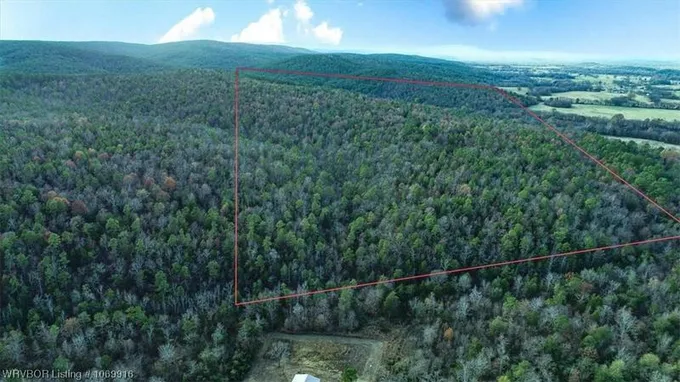 32 AC WALKER MOUNTAIN ROAD, Heavener, OK 74937 Land For Sale  MLS# 1069916