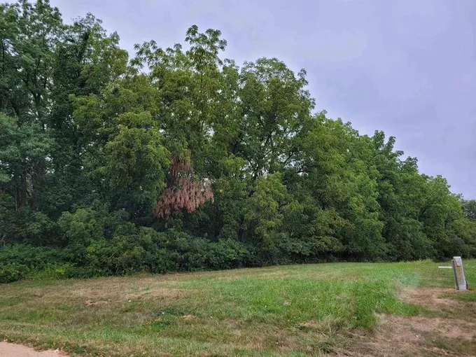 20-31 & 32 Fox Run, LAKE CARROLL, IL 61046  603280595 for Sale