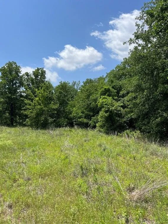 Lot 27 Kilkenny Rd, Poolville, TX 76487 - MLS 20461216 for Sale