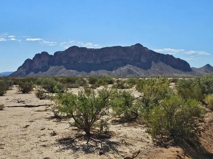 G 172 Spock Rd, Terlingua, TX 79852 for Sale