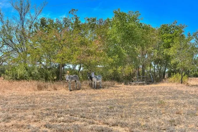 Killeen, Burnet County, TX Undeveloped Land, House for sale Property ID: 417417330