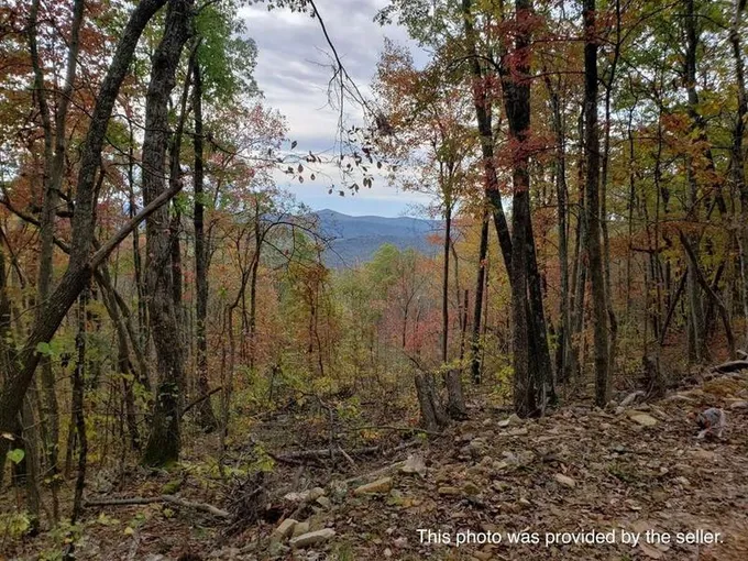Tazewell, Tazewell County, VA for sale Property ID: 414839544