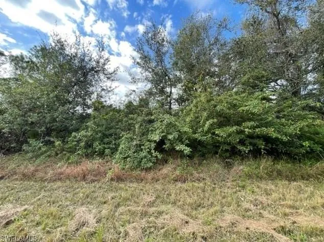 3315 41st St W, Lehigh Acres, FL 33971 - MLS 224005414 for Sale
