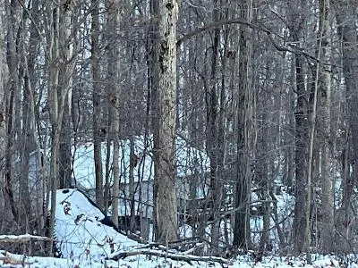 N Bowman Rd for Sale